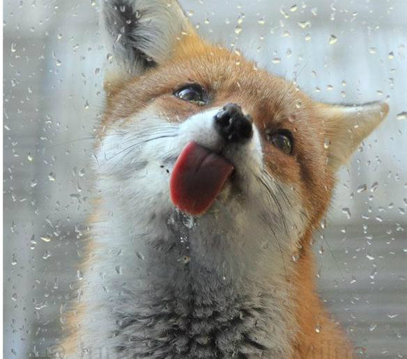 湿湿热热的舌吻一枚,哇咔咔~--世纪佳缘情感频道