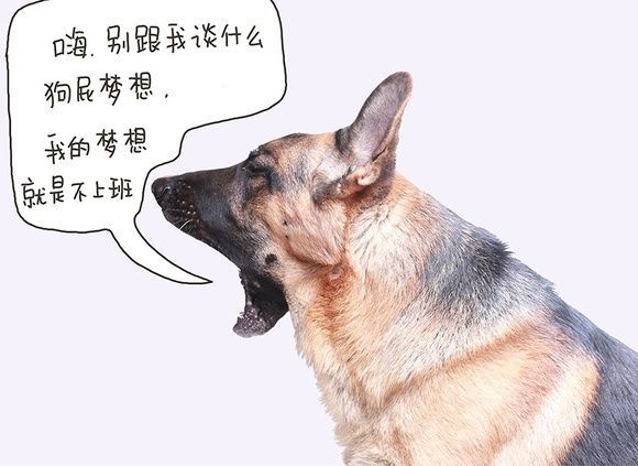 16,嗨,别跟我谈什么狗屁梦想,我的梦想就是不上班.