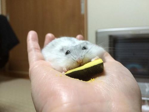 2015-12-04 文章来源:世纪佳缘情感频道