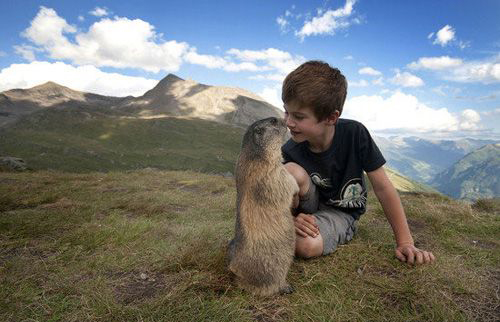 真爱!小男孩与土拨鼠每年都相会